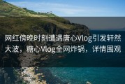 网红傍晚时刻遭遇唐心Vlog引发轩然大波，糖心Vlog全网炸锅，详情围观