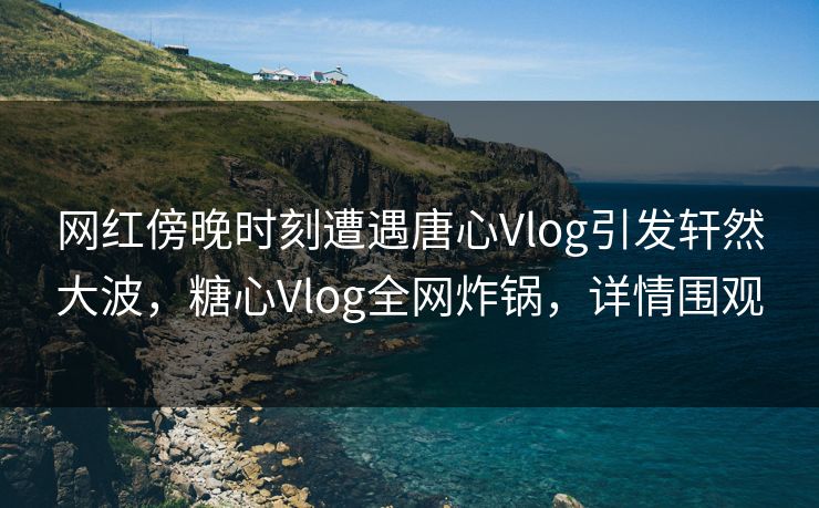 网红傍晚时刻遭遇唐心Vlog引发轩然大波，糖心Vlog全网炸锅，详情围观