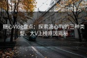 糖心Vlog盘点：探索溏心TV的三种类型，大V上榜原因揭秘