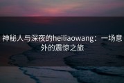 神秘人与深夜的heiliaowang：一场意外的震惊之旅