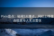 Pixiv盘点：秘闻5大爆点，网红上榜理由极其令人无法置信