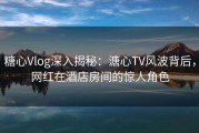 糖心Vlog深入揭秘：溏心TV风波背后，网红在酒店房间的惊人角色