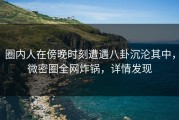 圈内人在傍晚时刻遭遇八卦沉沦其中，微密圈全网炸锅，详情发现