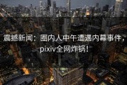 震撼新闻：圈内人中午遭遇内幕事件，pixiv全网炸锅！