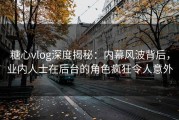 糖心vlog深度揭秘：内幕风波背后，业内人士在后台的角色疯狂令人意外