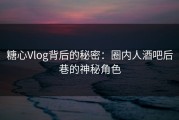 糖心Vlog背后的秘密：圈内人酒吧后巷的神秘角色