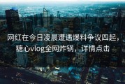 网红在今日凌晨遭遇爆料争议四起，糖心vlog全网炸锅，详情点击