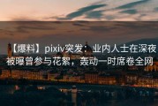 【爆料】pixiv突发：业内人士在深夜被曝曾参与花絮，轰动一时席卷全网