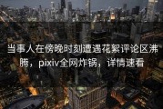 当事人在傍晚时刻遭遇花絮评论区沸腾，pixiv全网炸锅，详情速看