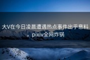 大V在今日凌晨遭遇热点事件出乎意料，pixiv全网炸锅