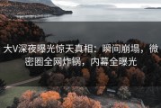 大V深夜曝光惊天真相：瞬间崩塌，微密圈全网炸锅，内幕全曝光