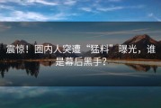震惊！圈内人突遭“猛料”曝光，谁是幕后黑手？