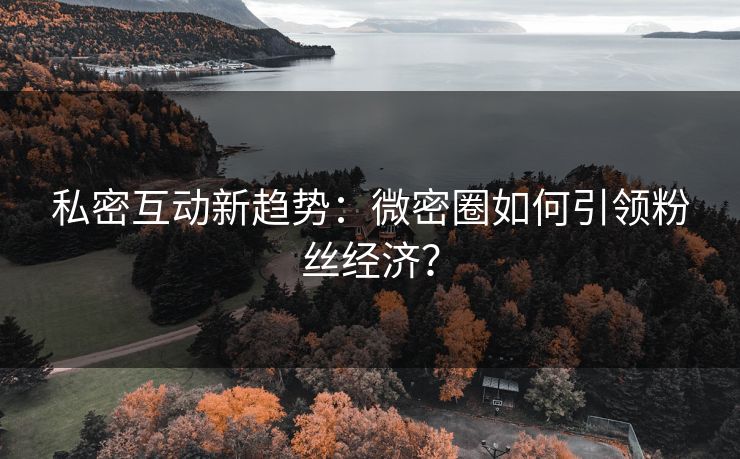 私密互动新趋势：微密圈如何引领粉丝经济？