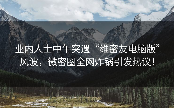 业内人士中午突遇“维密友电脑版”风波，微密圈全网炸锅引发热议！