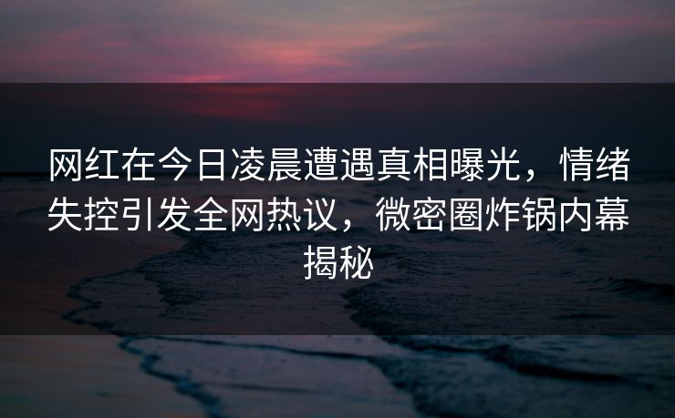 网红在今日凌晨遭遇真相曝光，情绪失控引发全网热议，微密圈炸锅内幕揭秘