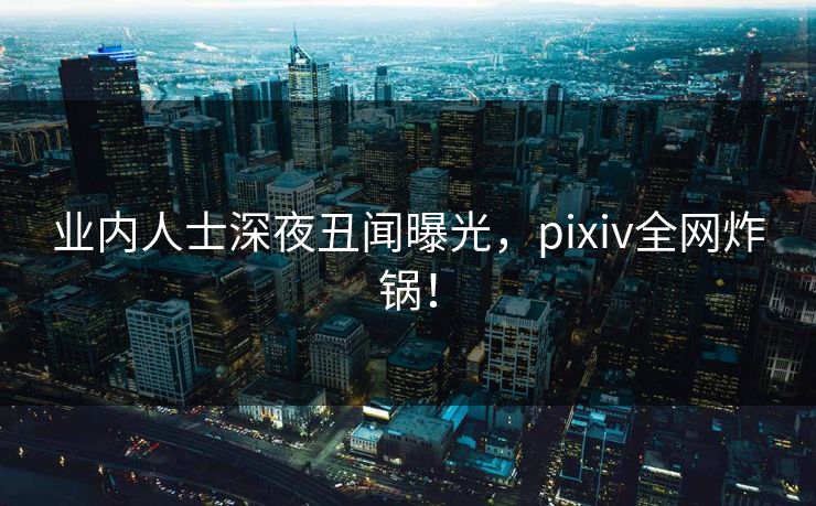业内人士深夜丑闻曝光,pixiv全网炸锅! 业内人士深夜丑闻曝光,pixiv全网炸锅!