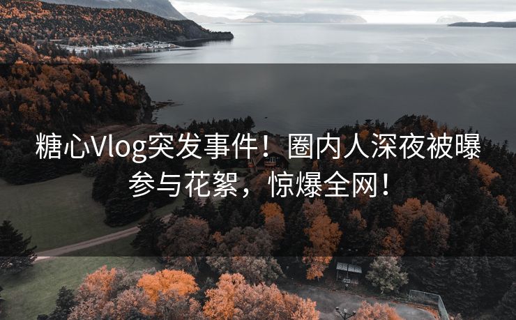 糖心Vlog突发事件!圈内人深夜被曝参与花絮,惊爆全网! 糖心Vlog突发事件!圈内人深夜被曝参与花絮,惊爆全网!