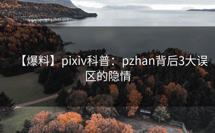 【爆料】pixiv科普:pzhan背后3大误区的隐情 【爆料】pixiv科普:pzhan背后3大误区的隐情