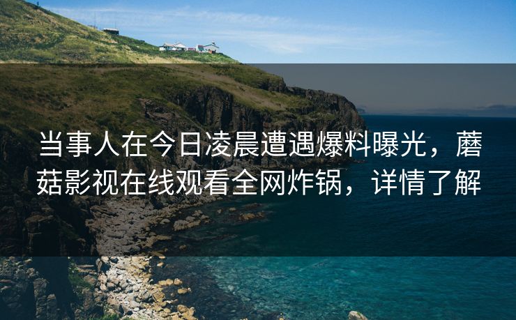 当事人在今日凌晨遭遇爆料曝光，蘑菇影视在线观看全网炸锅，详情了解