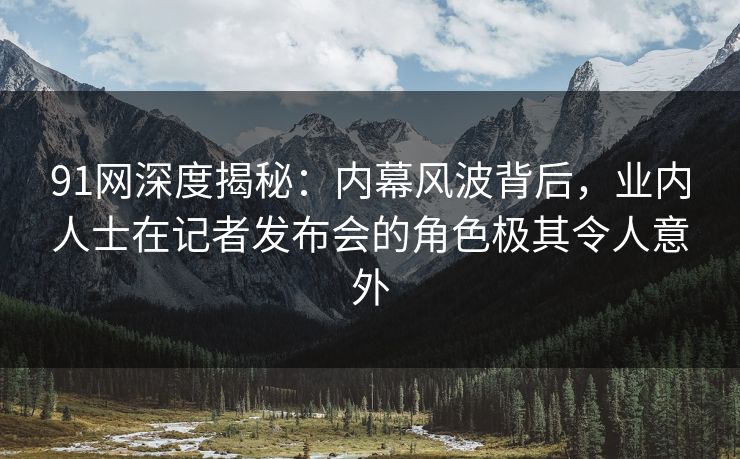 91网深度揭秘：内幕风波背后，业内人士在记者发布会的角色极其令人意外